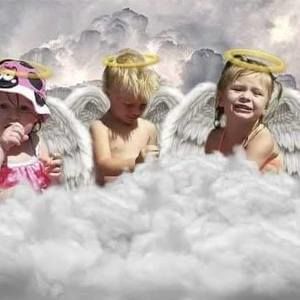 Meet your Posher, Donald